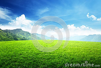 Field of grass in mountain Stock Photo