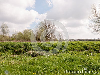 A Field of Grass with A Very White and Cloudy Sky Stock Photo