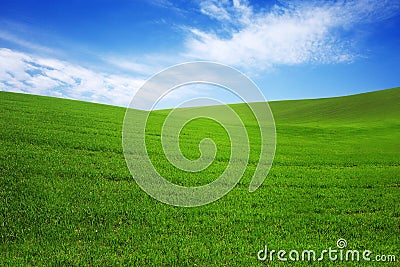 Field with green grass and blue sky with clouds on the farm in beautiful summer sunny day. Clean, idyllic, landscape with sun. Stock Photo