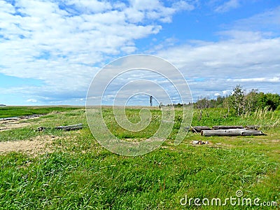 Field with green grass and logs Stock Photo