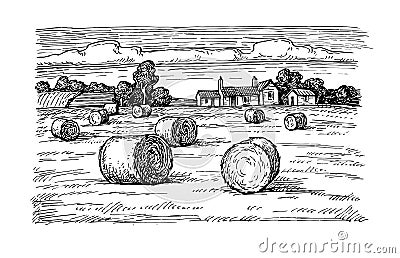 Field with haystacks Vector Illustration