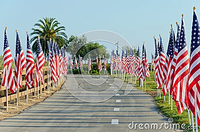 Field of Honor Event Editorial Stock Photo