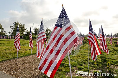 Field of Honor Event Editorial Stock Photo