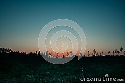 Field landscape in light of golden sunset. Awesome wild land nature. Colorful light of sun down lights up meadow and tall pines on Stock Photo