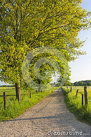 Field Lane In Spring Near Aachen, Germany Stock Photo