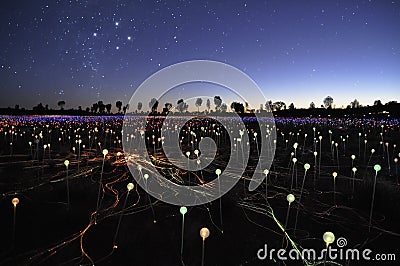Field of Light of the artist Bruce Munro Editorial Stock Photo