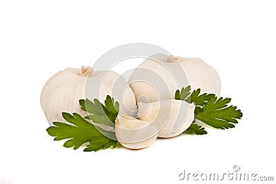 Field mushroom and parsley Stock Photo