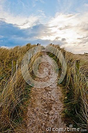 Field path under blue sky in Ireland Stock Photo