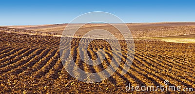 Field of Plowed Furrows Stock Photo