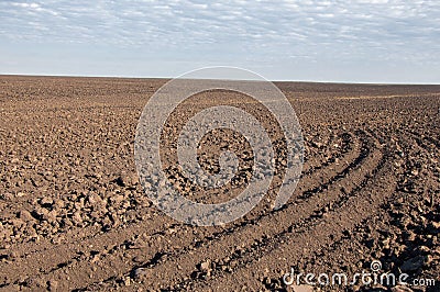 Field plowed, sown cereals. Stock Photo