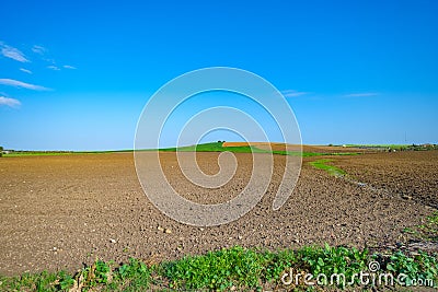 Field prepared to sow with sky Stock Photo