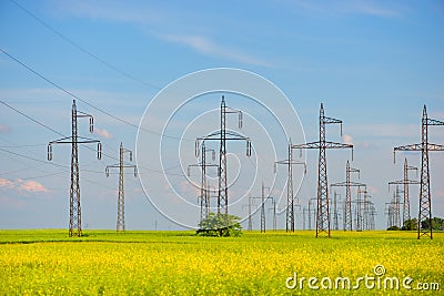 Field of rapeseed brasica napus and high voltage pole Stock Photo