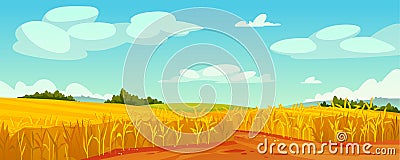 Field of ripe yellow wheat and blue sky landscape Vector Illustration