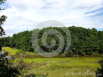 Field, River and Trees Nature Bliss. Virginia Beach, VA Stock Photo