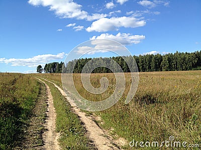 The field road leads beyond the horizon Stock Photo