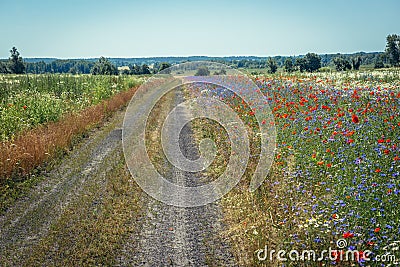 Field road in Poland Stock Photo