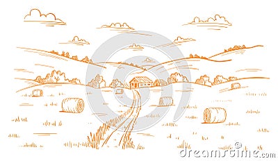 Field road. Rural landscape. Mown straw grass. Hand drawn sketch. Countryside track. Contour vector line. Autumn Vector Illustration