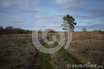 Field road to the river Stock Photo