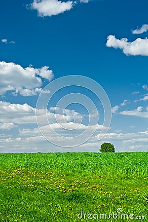 Field and the sky Stock Photo