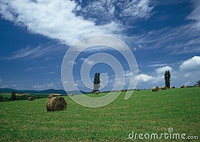 Field sky and hay. Stock Photo
