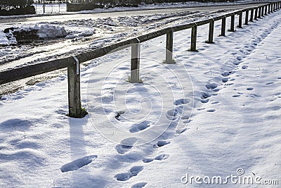 Field of snow, Yorkshire, England - footsteps. Stock Photo