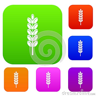 Field spike set color collection Vector Illustration