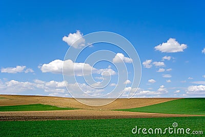 Field at spring Stock Photo