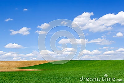 Field at spring Stock Photo