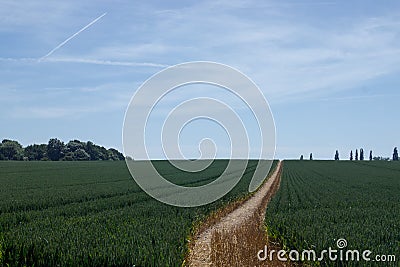 A field and track leading to the horizon Stock Photo