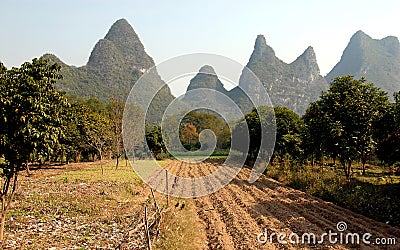 A field and trees near the Li River between Guilin and Yangshuo in Guangxi Province, China Stock Photo