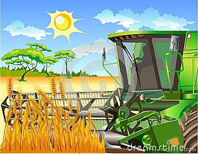 Field of wheat and combine Vector Illustration