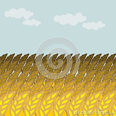 Field of wheat. Grain field and blue sky. Rye Spikes Vector Illustration