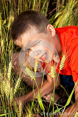 In a field where a lot of wheat ears grows, he plays with strings, a cheerful boy. Stock Photo