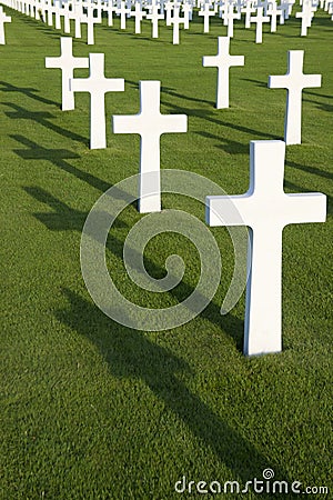 Field with white crosses Stock Photo
