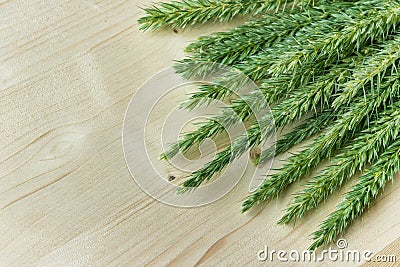 Spikelets on wooden background. Stock Photo