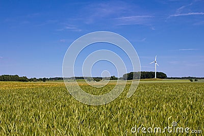 Field, wind engine and a blue sky Stock Photo