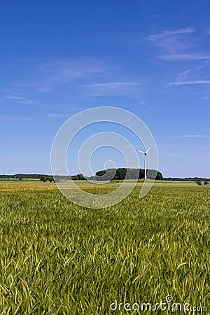Field, wind engine and a blue sky Stock Photo