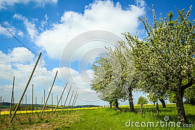 Fields of Bavaria Stock Photo