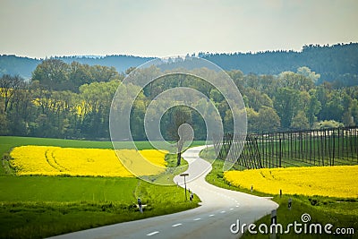 Fields of Bavaria Stock Photo