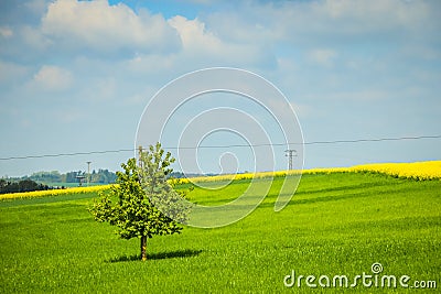 Fields of Bavaria Stock Photo