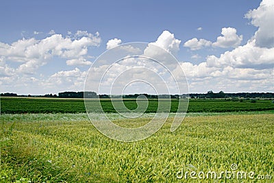 Fields and clouds Stock Photo