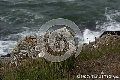 Fields of Connemara, Ireland Stock Photo