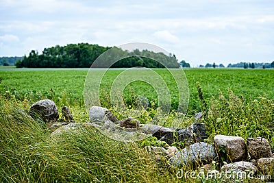 fields in country under blue sky with white clouds Stock Photo