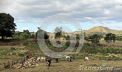 African agricultural landscape with hills in the background Stock Photo