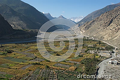 Fields of Kali Gandaki Stock Photo