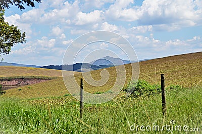 The beauty of the fields of plantations and mountains of Minas Gerais Stock Photo
