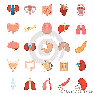 Internal Human Organs Icons Stock Photo