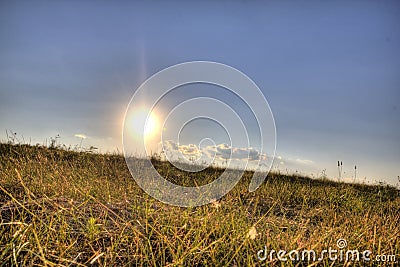 Fields in a rural landscape in an early summer evening, Ohio Stock Photo