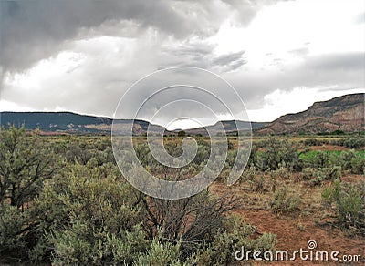 Fields of Sage Stock Photo