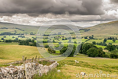 Fields and sheep on farm land in a valley with rain clouds Stock Photo